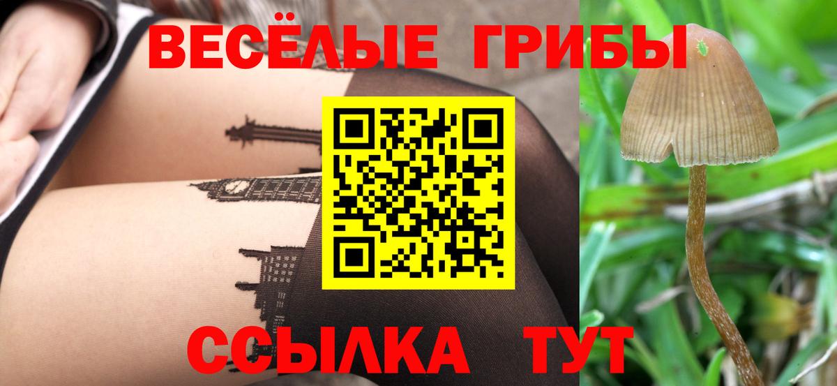 Псилоцибиновые грибы GOLDEN TEACHER  Галлюциногенные грибы Psilocybine cubensis  Радужный  Вход с VPN 